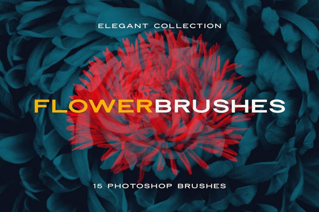 Elegant Flower Brushes for Photoshop