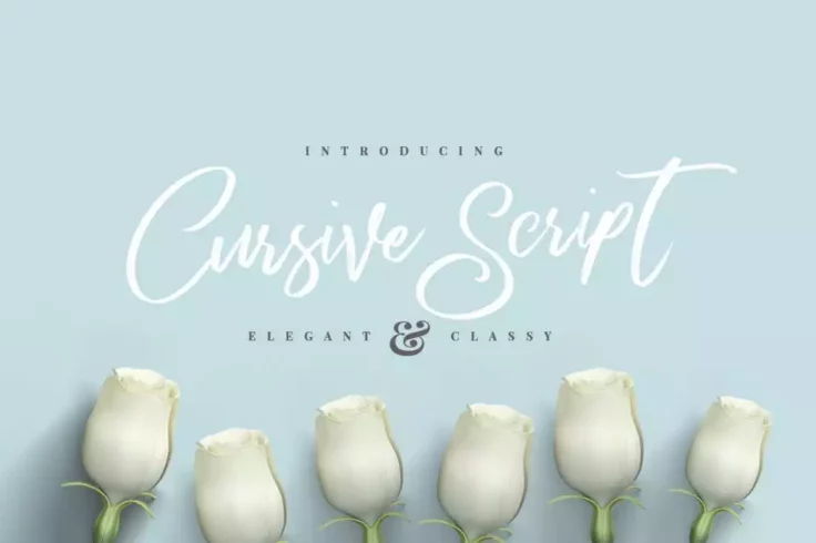 View Information about Elegant Cursive Brush Script Font