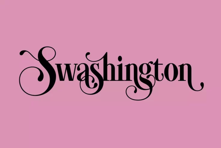 View Information about Swashington Hand Drawn Decorative Font