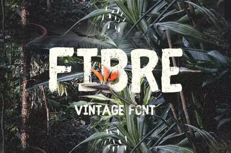 View Information about Fibre Vintage Font