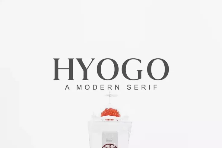 View Information about Hyogo Clean Modern Serif Font Family