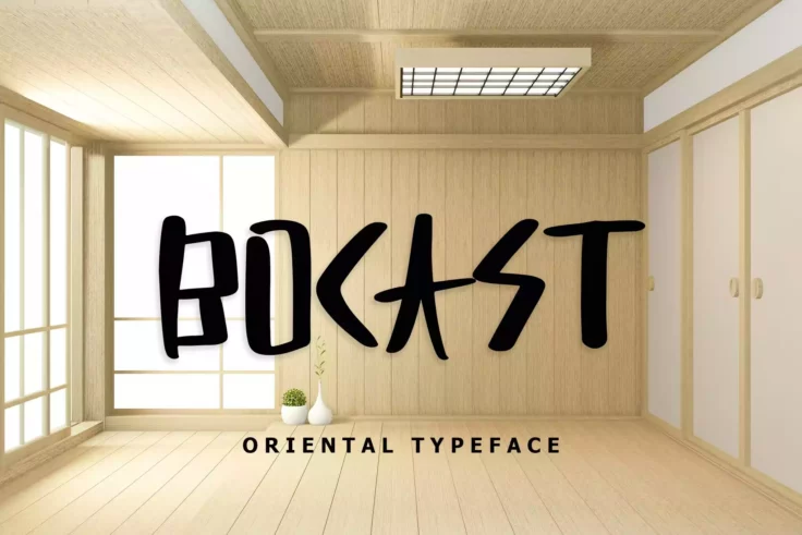 View Information about Bocast Font