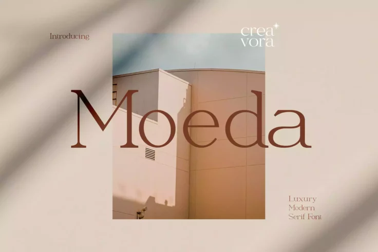 View Information about Moeda Elegant Font