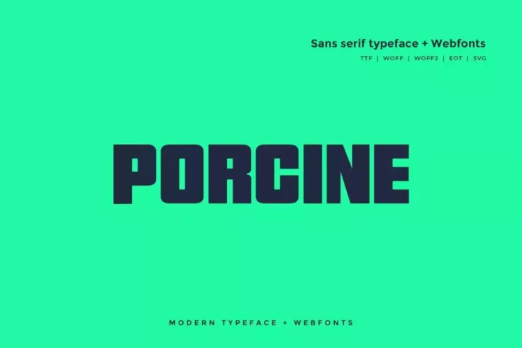 View Information about Porcine Modern Block Font