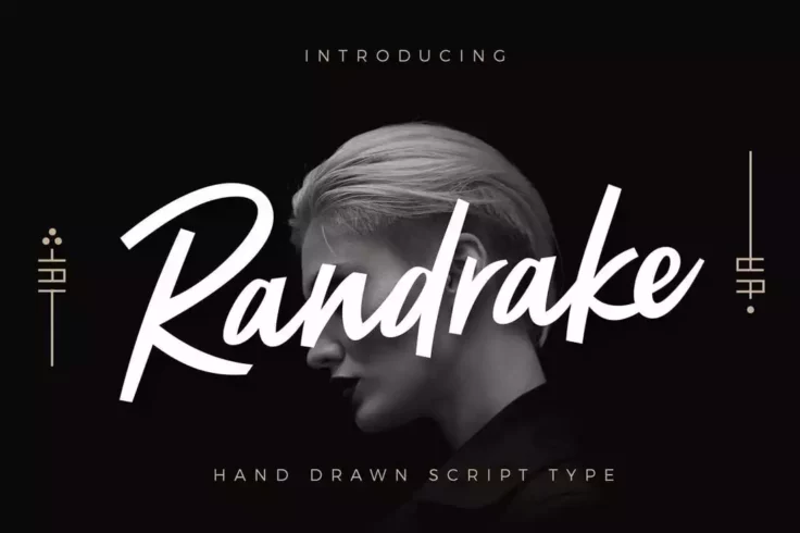 View Information about Randrake Modern Script Logo Font