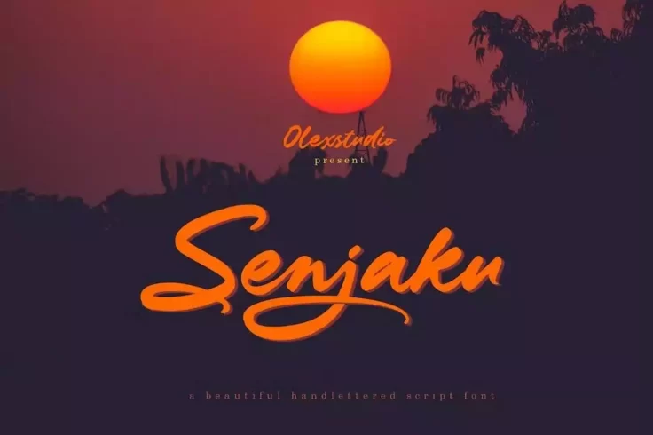 View Information about SENJAKU Font